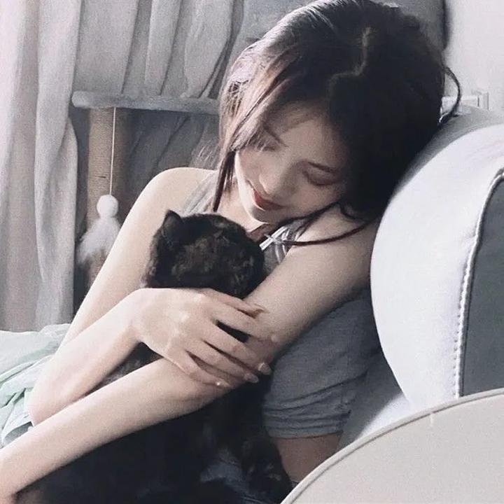 艾米莉亚2.0