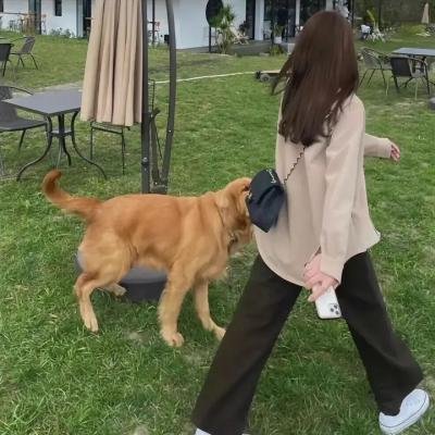 你好杀人犯